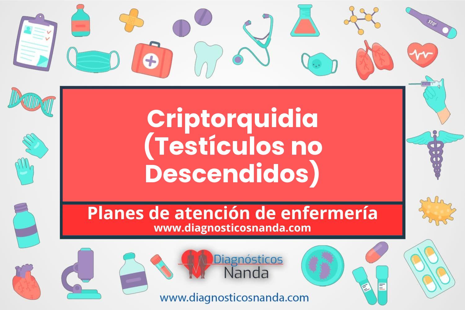 Plan de atención de enfermería Criptorquidia (Testículos no Descendidos)