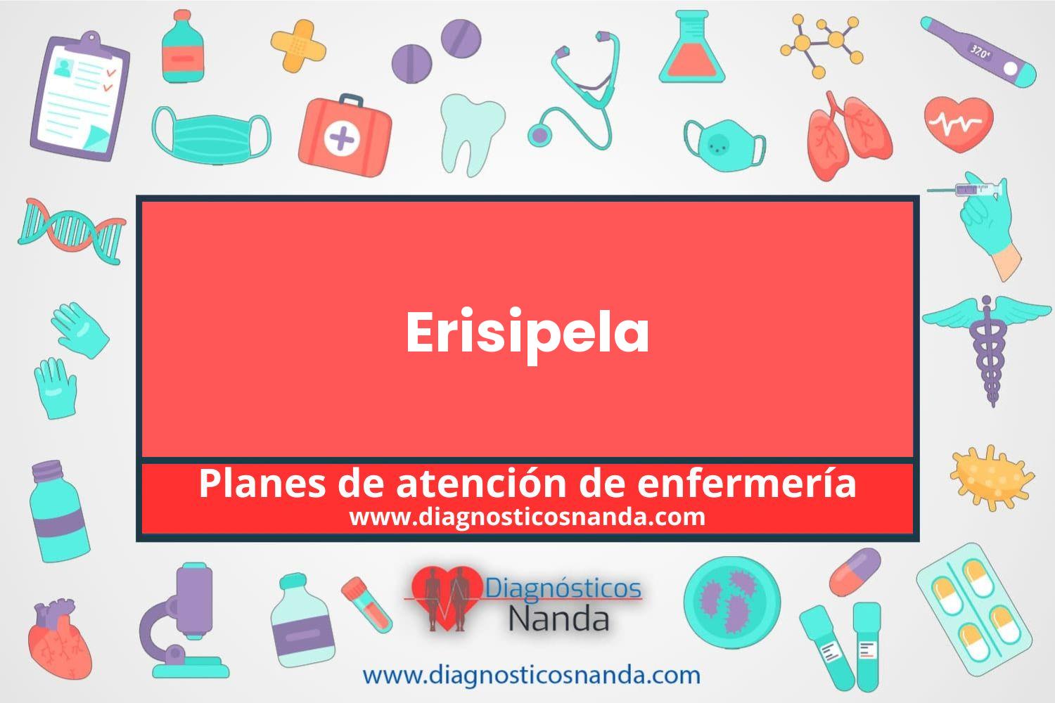 Plan de atención de enfermería Erisipela