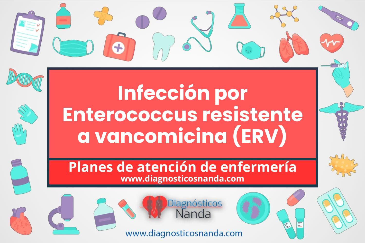 Plan de atención de enfermería Infección por Enterococcus resistente a vancomicina (ERV)